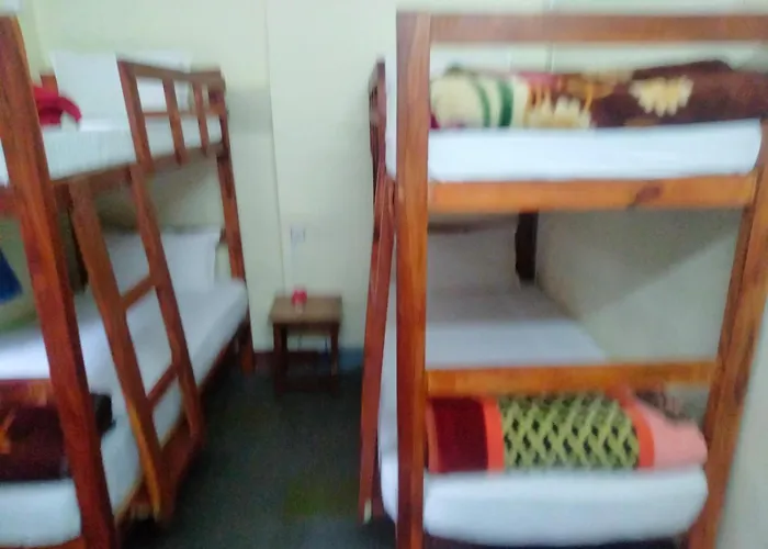 Hotel Backpackers *
